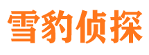 重庆市调查公司